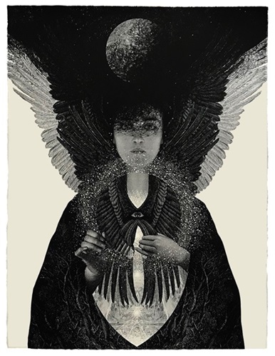 Shade Of The Living Light  by Dan Hillier