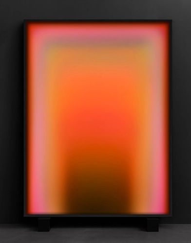 Stems (Amber Timed) by Nick Thomm