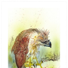 Philippine Eagle by Ralph Steadman