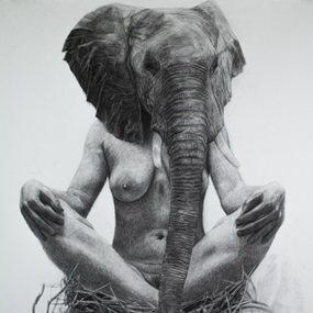 Elephants Nest by Kelly Blevins