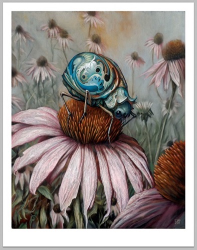 Echinacea  by Esao Andrews