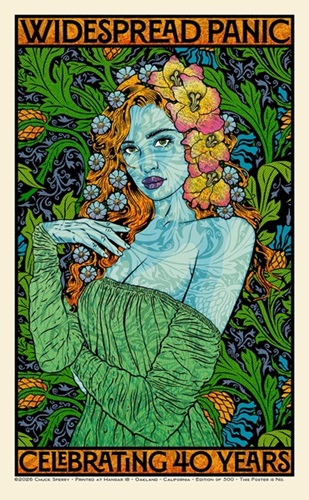 Widespread Panic Celebrating 40 Years (Regular Edition) by Chuck Sperry