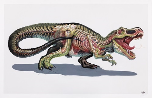 Translucent Rex  by Nychos