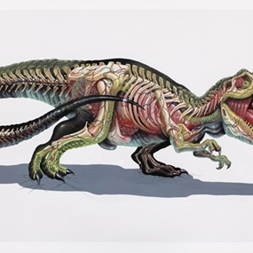 Translucent Rex by Nychos