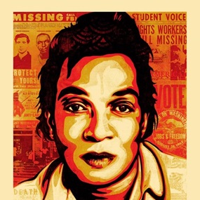 American Civics - Voting Rights by Shepard Fairey