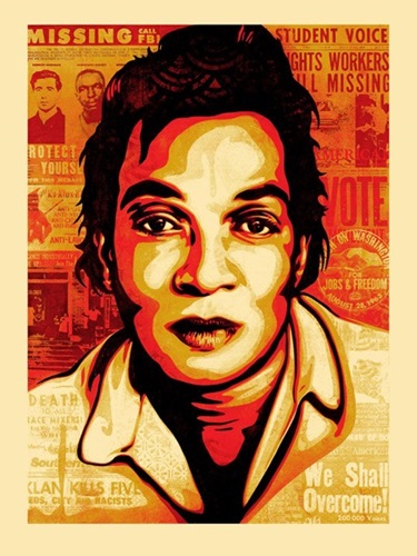 American Civics - Voting Rights  by Shepard Fairey