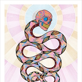 Cosmic Snake by David Cook