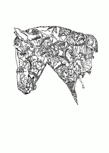 Horse Head  by Susie Wright