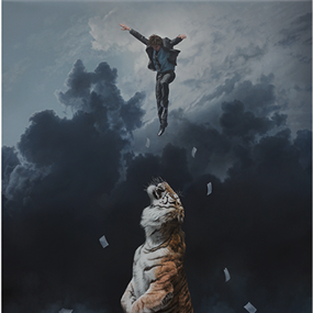 Elevation by Joel Rea