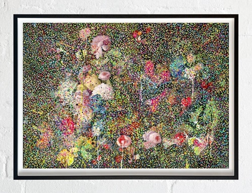 Luminosity  by Soozy Lipsey