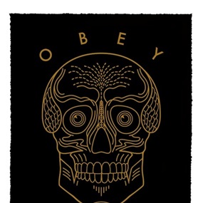 They Live We Sleep (Black) by Shepard Fairey