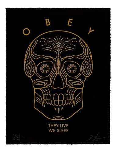 They Live We Sleep (Black) by Shepard Fairey