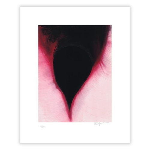 The Dark  by Anish Kapoor