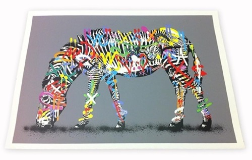 Zebra  by Martin Whatson