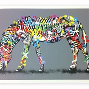 Zebra by Martin Whatson