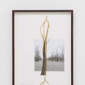 Albero Folgorato (Thunderstruck Tree) by Giuseppe Penone