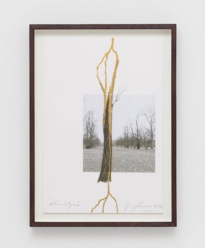 Albero Folgorato (Thunderstruck Tree)  by Giuseppe Penone