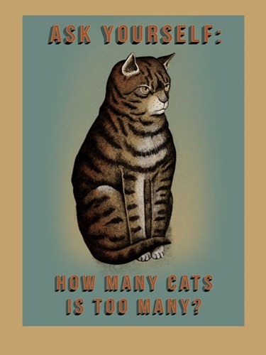 How Many Cats  by Arna Miller