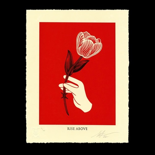 Rise Above Barbwire Flower (Red) by Shepard Fairey