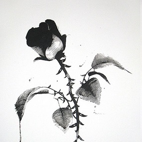 The Black Rose by Ludo