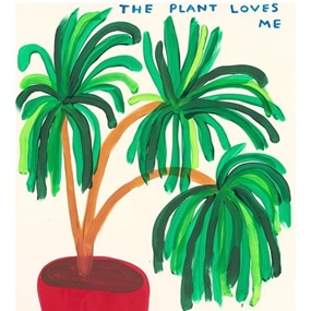 The Plant Loves Me by David Shrigley