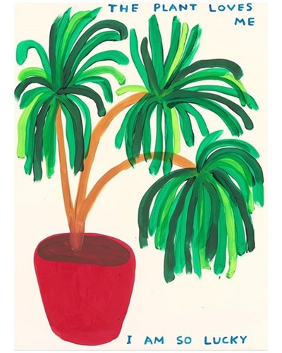 The Plant Loves Me  by David Shrigley