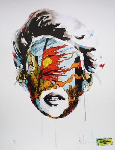 Cage Study: Fragile Heroes  by Sandra Chevrier