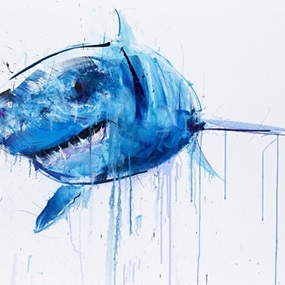 Apex Shark VI by Dave White