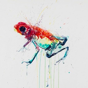 Tree Frog (XL) by Dave White