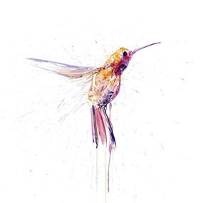 Humming Bird I (Pink) by Dave White