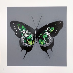 Butterfly (Green) by Martin Whatson