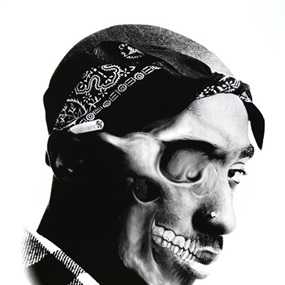 Tupac (First Edition) by Nest One