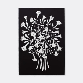 Thornapple (Black & White) by Rose Eken