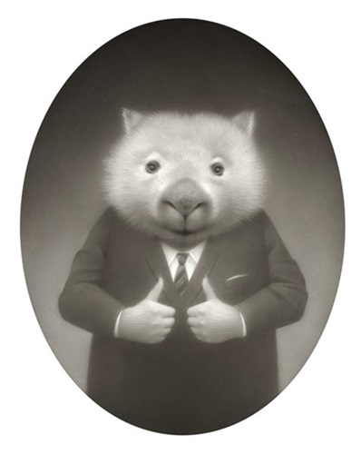 Daily Affirmation Wombat  by Travis Louie