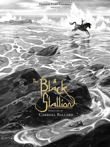 The Black Stallion  by Nicolas Delort