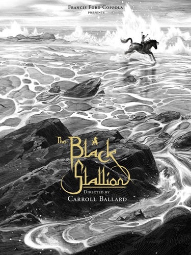 The Black Stallion  by Nicolas Delort