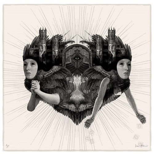 Aperture  by Dan Hillier