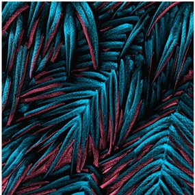 Holy Jungle (Blue) by Julien Colombier