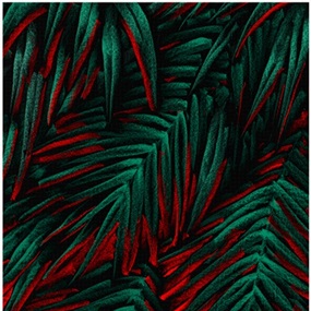 Holy Jungle (Green) by Julien Colombier
