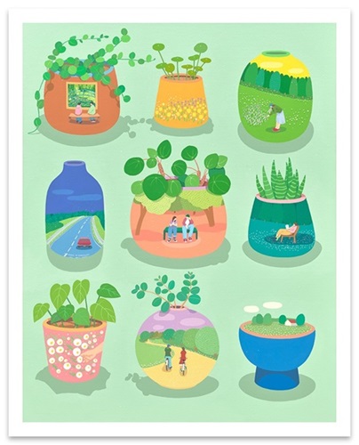 Soft Collection  by Danym Kwon