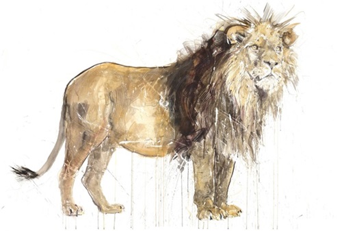 Lion (2020) (Standard Edition) by Dave White