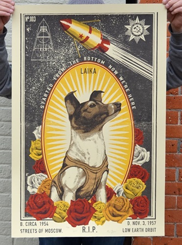 Laika  by Ravi Zupa | Arna Miller