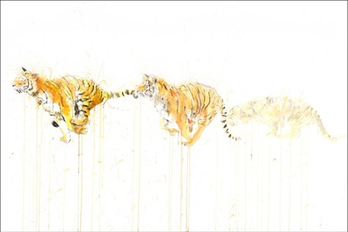 Tiger - Movement  by Dave White