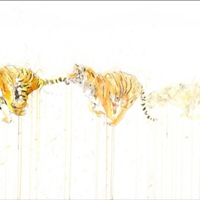 Tiger - Movement by Dave White