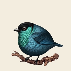 Fat Bird - Black-Capped Tanager (Timed Edition) by Mike Mitchell