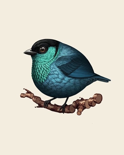 Fat Bird - Black-Capped Tanager (Timed Edition) by Mike Mitchell