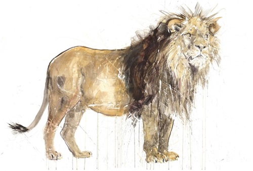 Lion (2020) (Hand-Finished) by Dave White