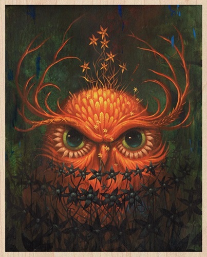 Night Owl  by Jeff Soto