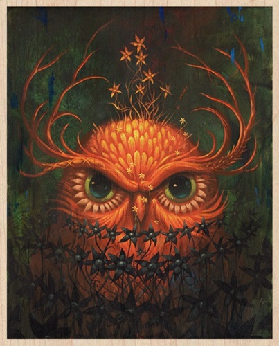 Night Owl  by Jeff Soto