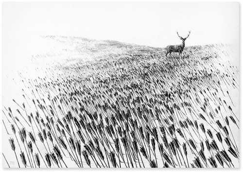 Meadow  by Pejac